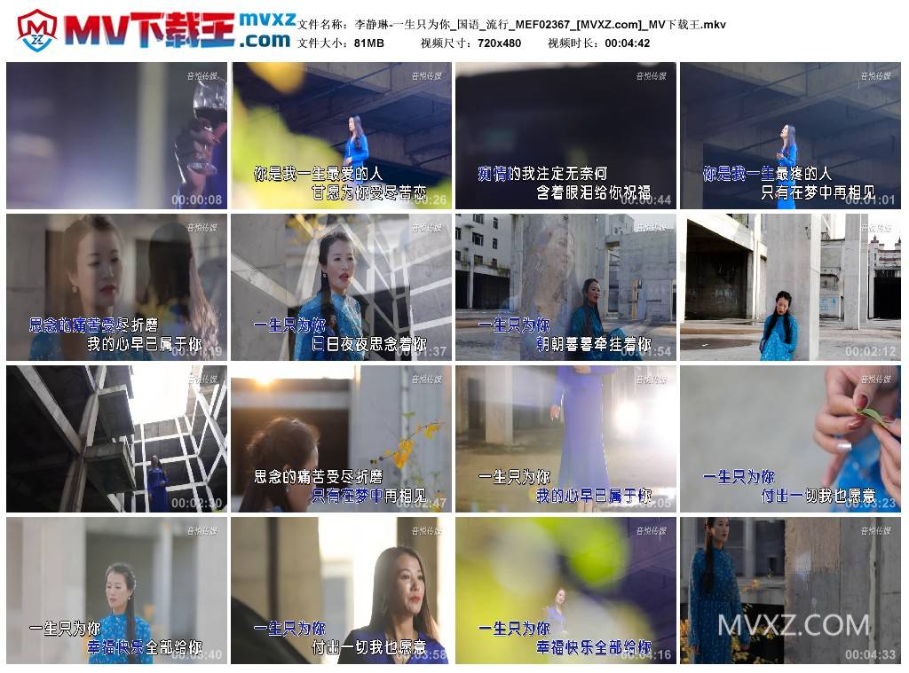 李静琳-一生只为你_国语_流行_MEF02367